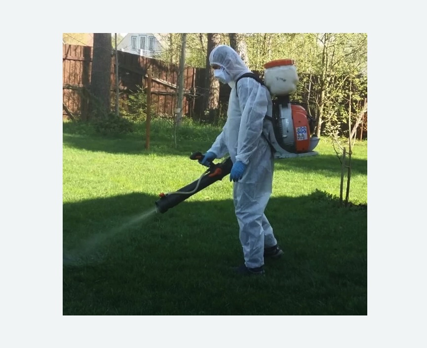 Обработка территории от клещей Обработка территории от клещей Проспект Просвещения метро Спб