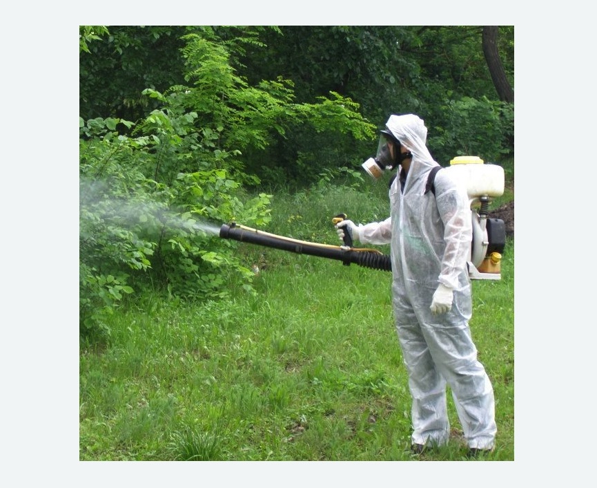 обработка дачи от клещей обработка территории от клещей Проспект Просвещения метро Спб