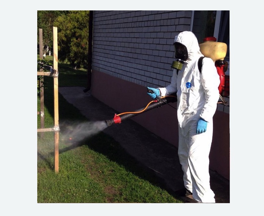 уничтожение клещей на участке травля клещей на участке Проспект Просвещения метро Спб