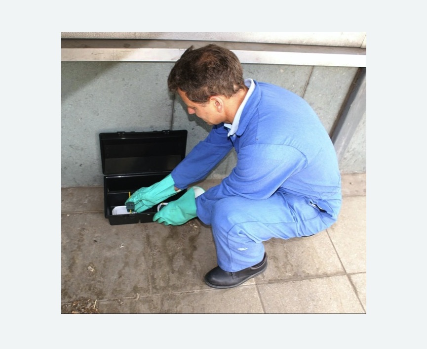 Дератизация помещения Проспект Просвещения метро Спб Дератизация помещения