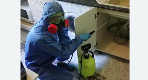 Уничтожение муравьев в квартире. Проспект Просвещения