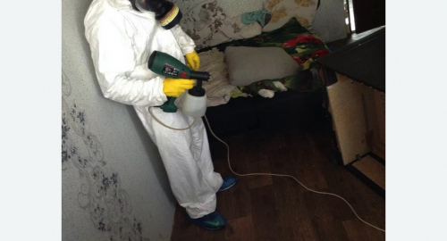 Обработка квартир от насекомых Проспект Просвещения метро Спб