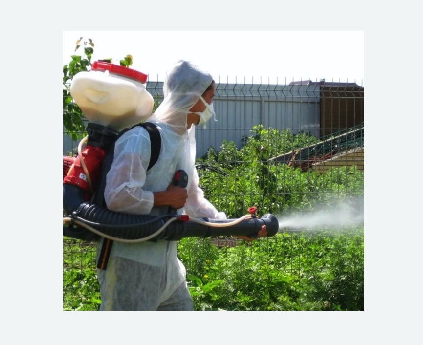 Акарицидная обработка территории Акарицидная обработка территории Проспект Просвещения метро Спб