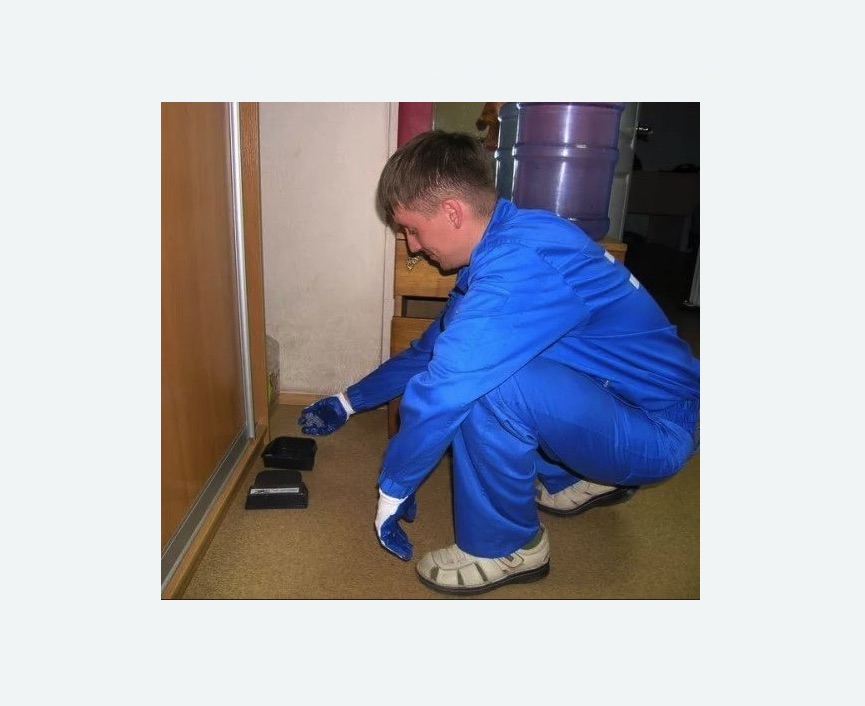 Дератизация крыс Проспект Просвещения метро Спб