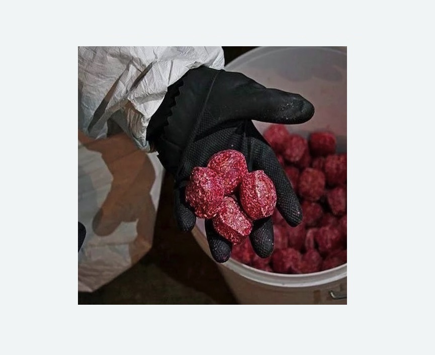 Обработка от крыс Проспект Просвещения метро Спб