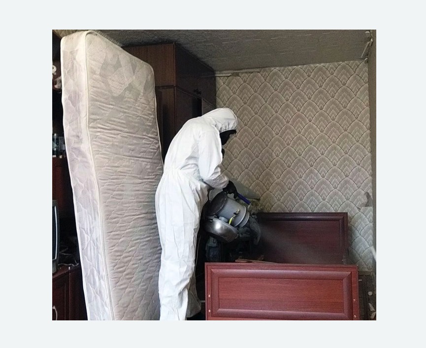 дезинфекция от клопов дезинфекция от клопов Проспект Просвещения метро Спб