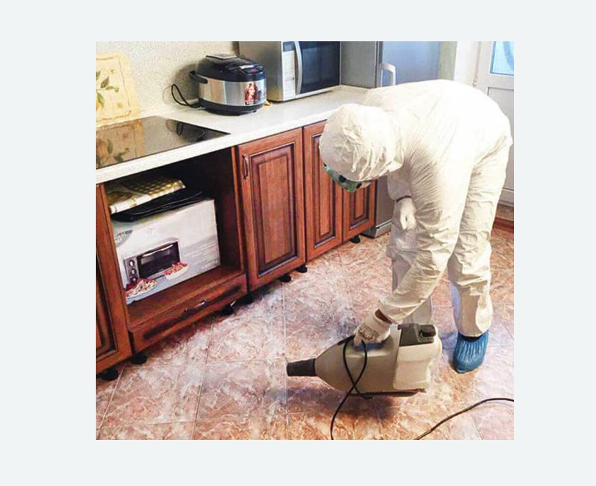 обработка квартиры от клопов Проспект Просвещения метро Спб обработка квартиры от клопов