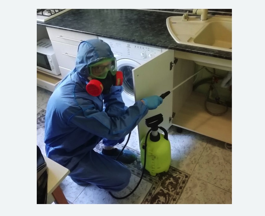 обработка от муравьев в квартире Проспект Просвещения метро Спб