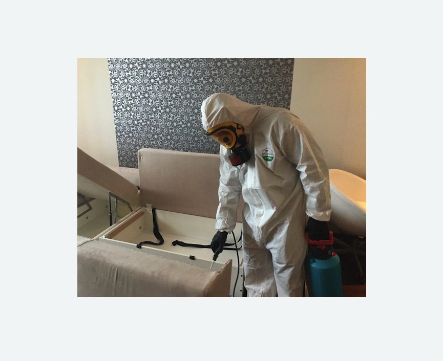 уничтожение клопов в квартире уничтожение клопов в квартире Проспект Просвещения метро Спб