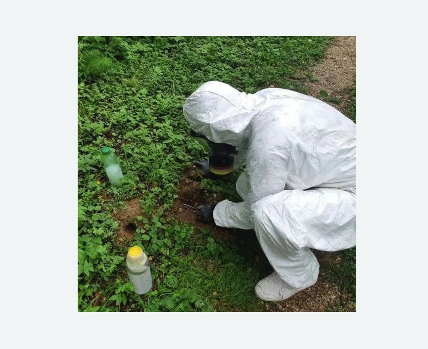 уничтожение кротов на участке Проспект Просвещения метро Спб