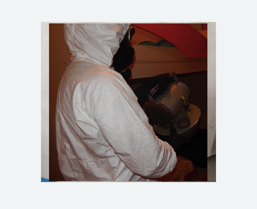 Дезинфекция от муравьев Проспект Просвещения метро Спб