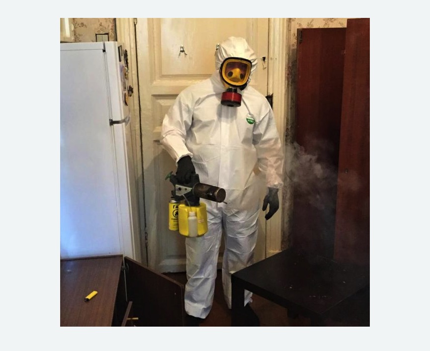 уничтожение муравьев в квартире Проспект Просвещения метро Спб